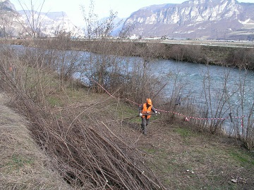 Pulizia alvei